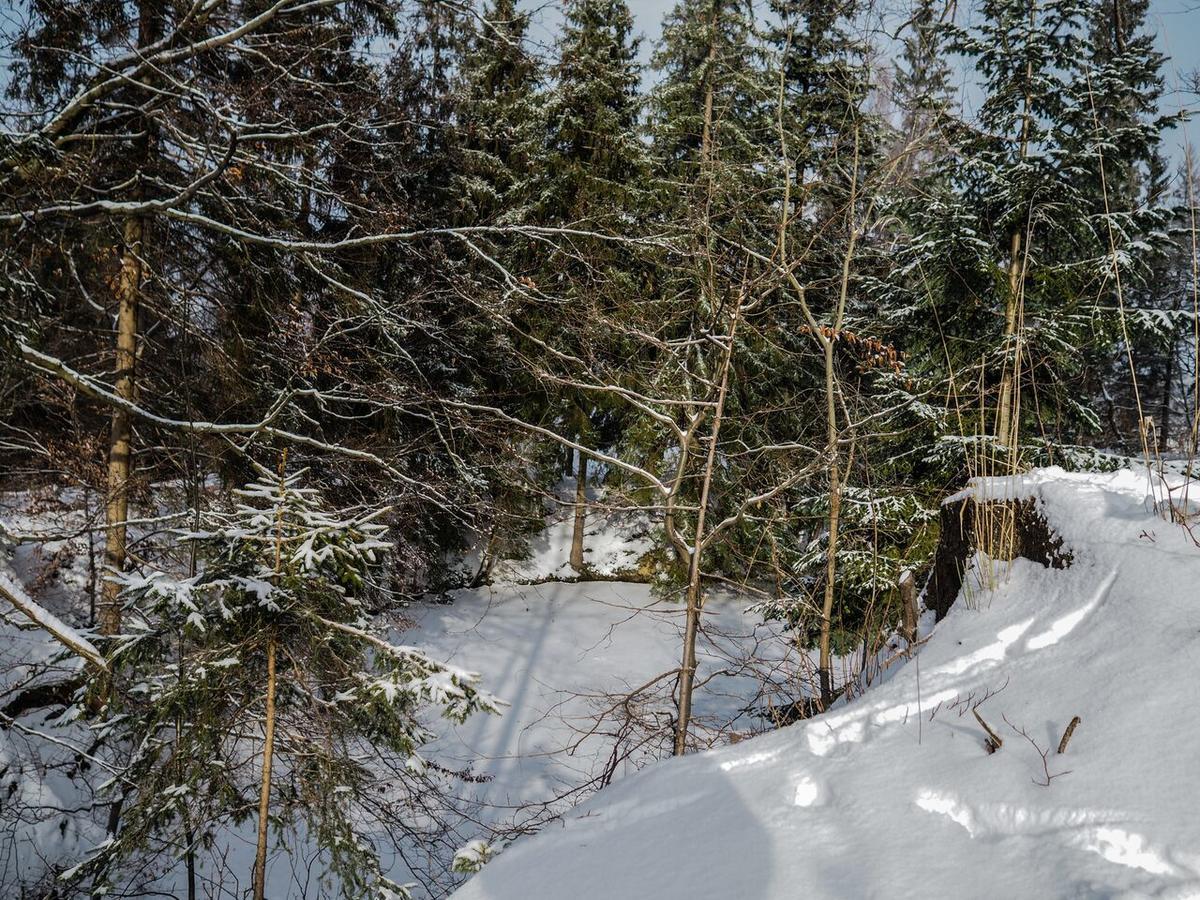 Karlovice  Pension Pod Morskym Okem المظهر الخارجي الصورة